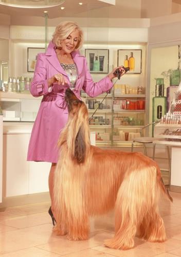 Anne Marsh - portfolio photo 7